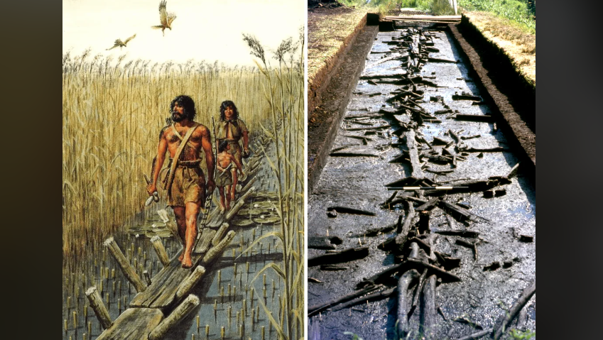 The Sweet Track: Unveiling a 5830-Year-Old Neolithic Engineering Marvel ...