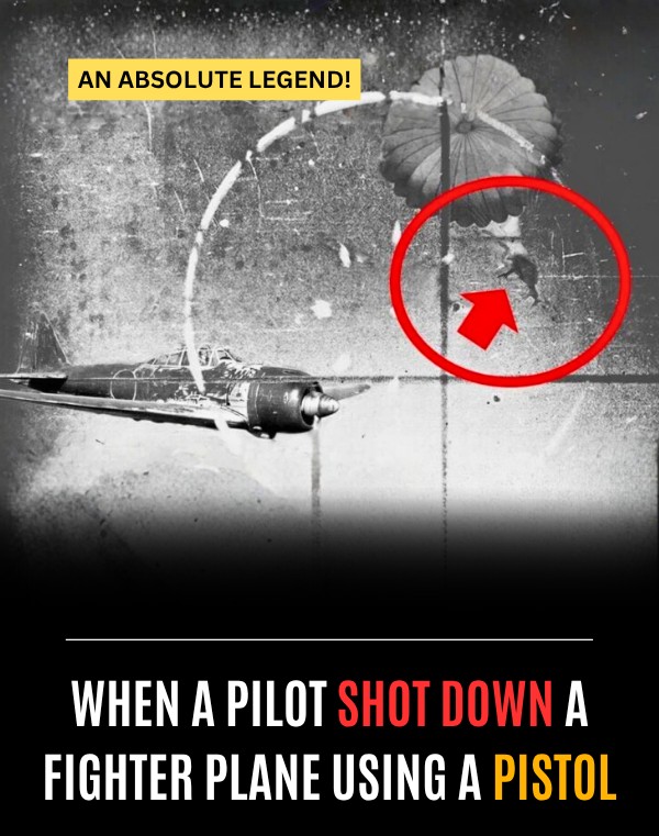 How a Pistol Took Down a Japanese Fighter Plane | Vidan.org
